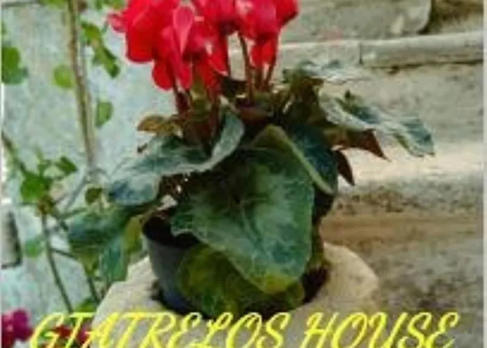Giatrelos House Near Shipwreck Zakynthos Vakantiehuis